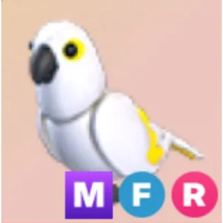 White amazon mega fr