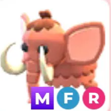 MFR YETI
