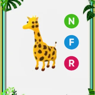 NFR GIRAFFE