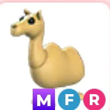 MFR CAMEL
