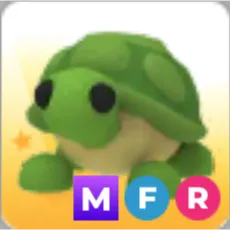 MFR TURTLE