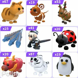 351 Pets Bundle