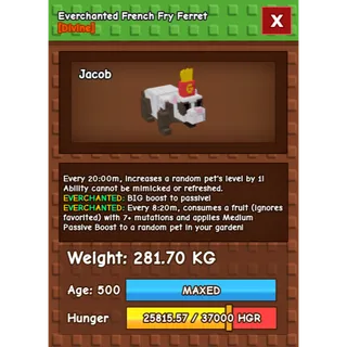 Everchanted French Fry Ferret Age 500 Weight 280KG ++