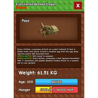 Everchanted Bearded Dragon Age 100 Weight 60kg ++