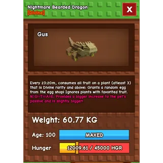 Nightmare Bearded Dragon Age 100 Weight 60kg ++