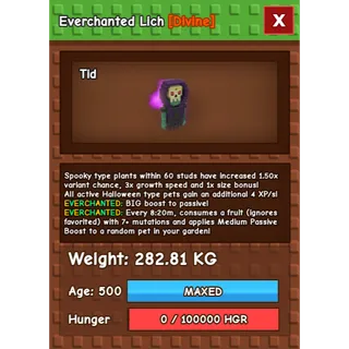 Everchanted Lich Age 500 Weight 280KG ++
