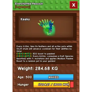 Everchanted Peacock Age 500 Weight 280KG ++