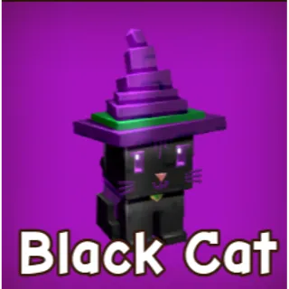 2x Black Cat
