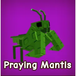 2x Praying Mantis