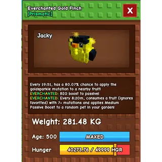 Everchanted Gold Finch Age 500 Weight 280KG ++