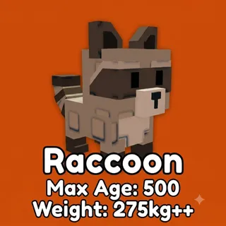 Raccoon Age 500 Weight 275kg ++