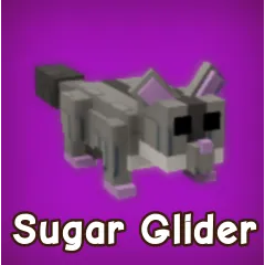 2x Sugar Glider