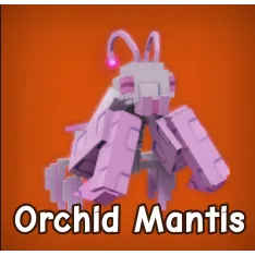 Orchid Mantis