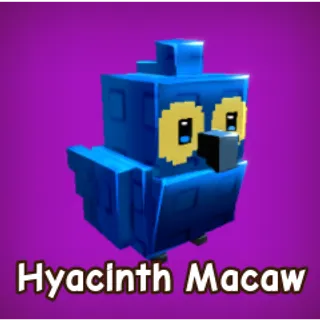 2x Hyacinth Macaw