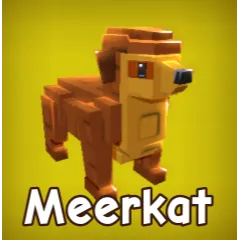 2x Meerkat