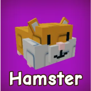 2x Hamster