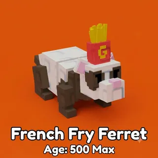 French Fry Ferret Age Max