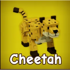 2x Cheetah