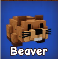 2x Beaver