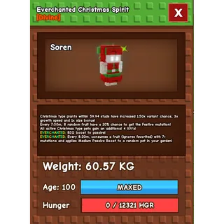 Everchanted Christmas Spirit Age 100 Weight 60kg ++