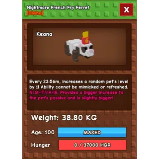 Nightmare French Fry Ferret Age 100 Weight 38kg ++