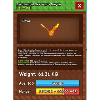 Everchanted New Year Dragon Age 100 Weight 60kg ++