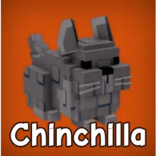 2x Chinchilla