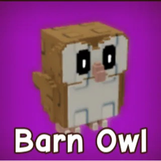 2x Barn Owl