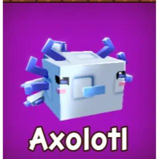 2x Axolotl