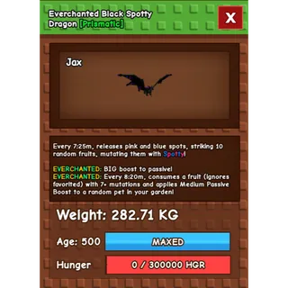 Everchanted Black Spotty Dragon Age 500 Weight 280KG ++