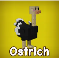 2x Ostrich