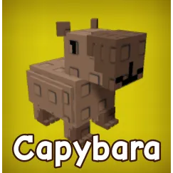 2x Capybara