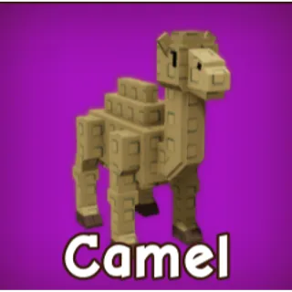 2x Camel