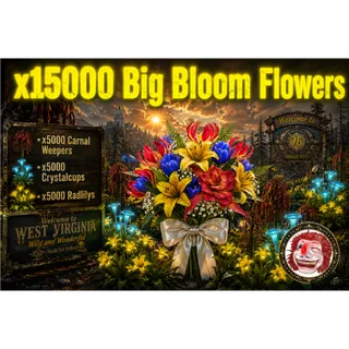 Big Bloom Flowers