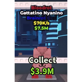 ⭐Gattatino Nyanino 70K/s - Best Price - Fast Delivery⭐
