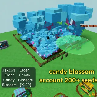 200+ CANDY BLOSSOM ACCOUNT ( ELDER CANDY BLOSSOM)