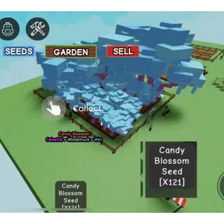 CANDY BLOSSOM ACCOUNT 200+ SEEDS