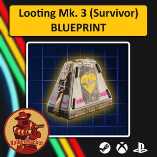 Looting Mk3 (SURVIVOR) BLUEPRINT