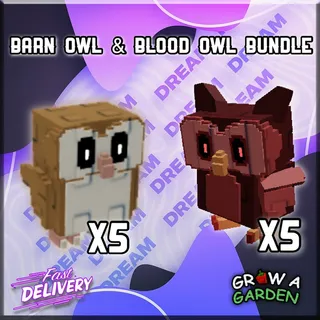 10x Owl Pet Bundle