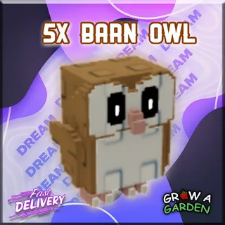 5x Barn Owl