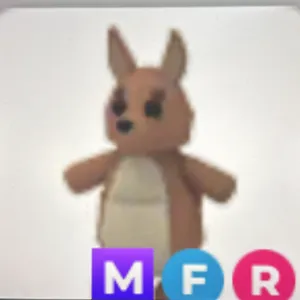 MFR Kangaroo