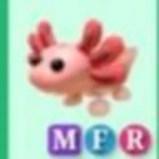 Mfr Axolotl