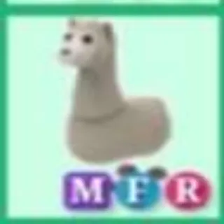 Mfr Llama