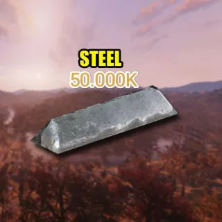 Steel