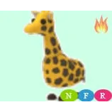 nfr giraffe