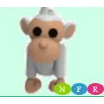 NFR ALBINO MONKEY