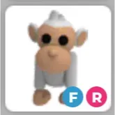 FR ALBINO MONKEY