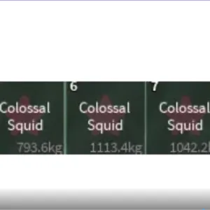 4x Colossal Squid