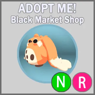 Cabbit NR