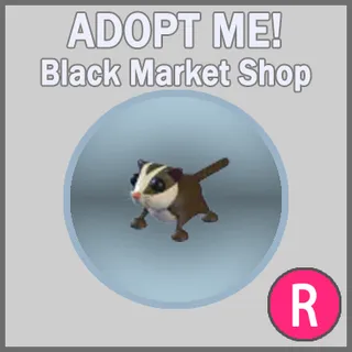 Sugar Glider R